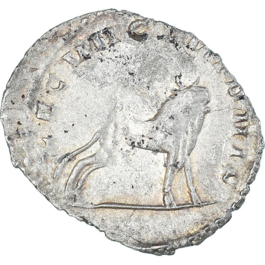 Galen,
Antonianos,
260-269