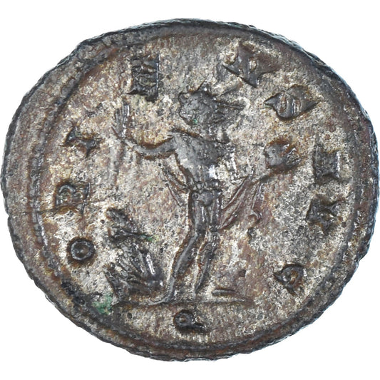 minca,
Aurelianos,
Antoninian