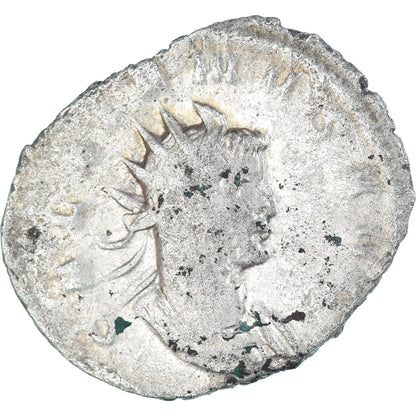 Galen, 
  
  Antonianos, 
  
  260-269