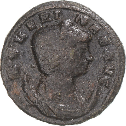 minca, 
  
  Seweryna, 
  
  Aurelian