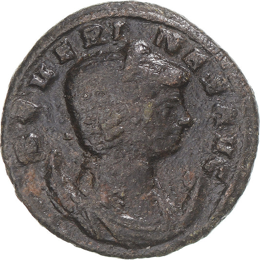 minca, 
  
  Seweryna, 
  
  Aurelian