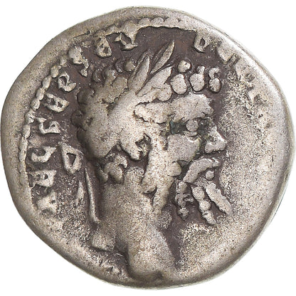 minca,
 
 Septimius Severus,
 
 dinár