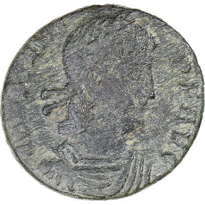 minca,
 
 pevné,
 
 Follis
