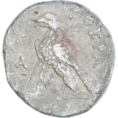 minca, 
  
  Egypt, 
  
  Nero