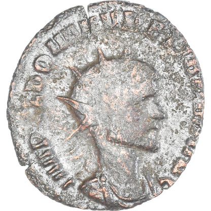 minca,
 
 Claudius II (gotický),
 
 Antoninian