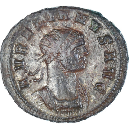 minca, 
  
  Aurelianos, 
  
  Antoninian