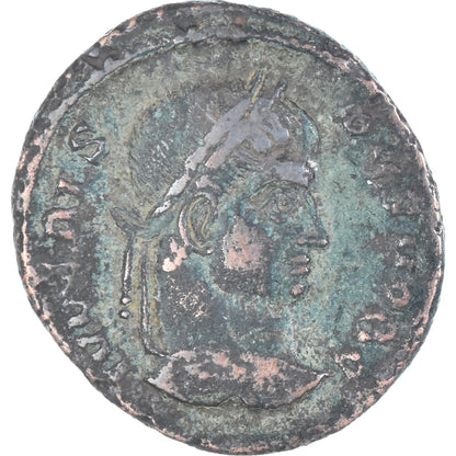 minca, 
  
  crispus, 
  
  Follis