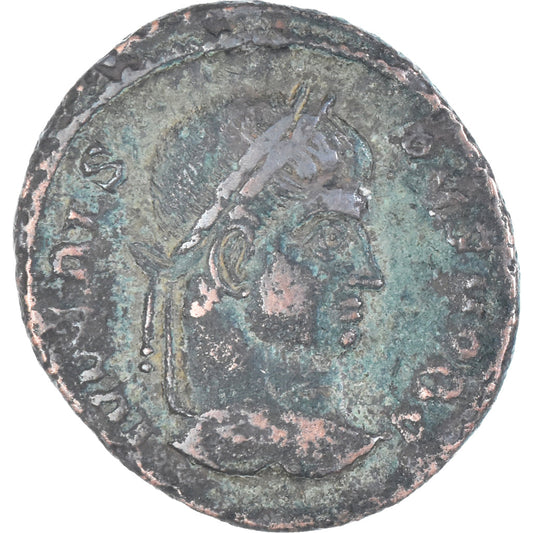 minca, 
  
  crispus, 
  
  Follis