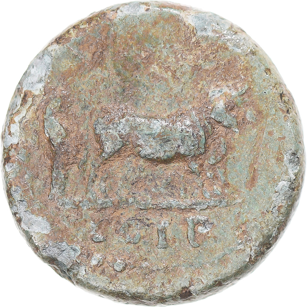 minca, 
  
  oddanosť, 
  
  Nervové