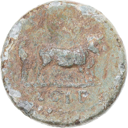 minca, 
  
  oddanosť, 
  
  Nervové