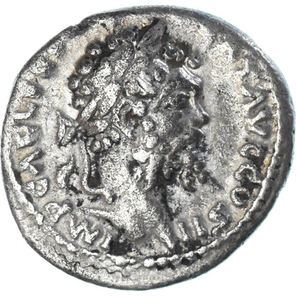Septimius Severus, 
  
  dinár, 
  
  194-195
