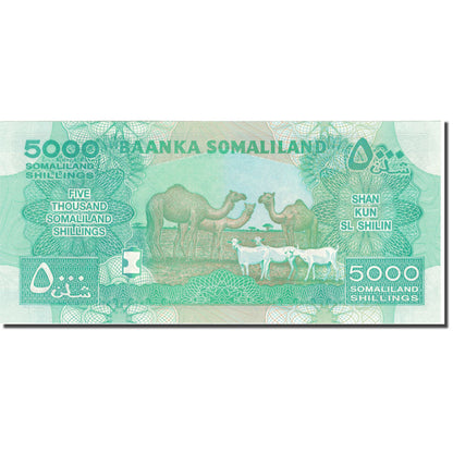 bankovka,
 
 Somaliland,
 
 5000 šilingov