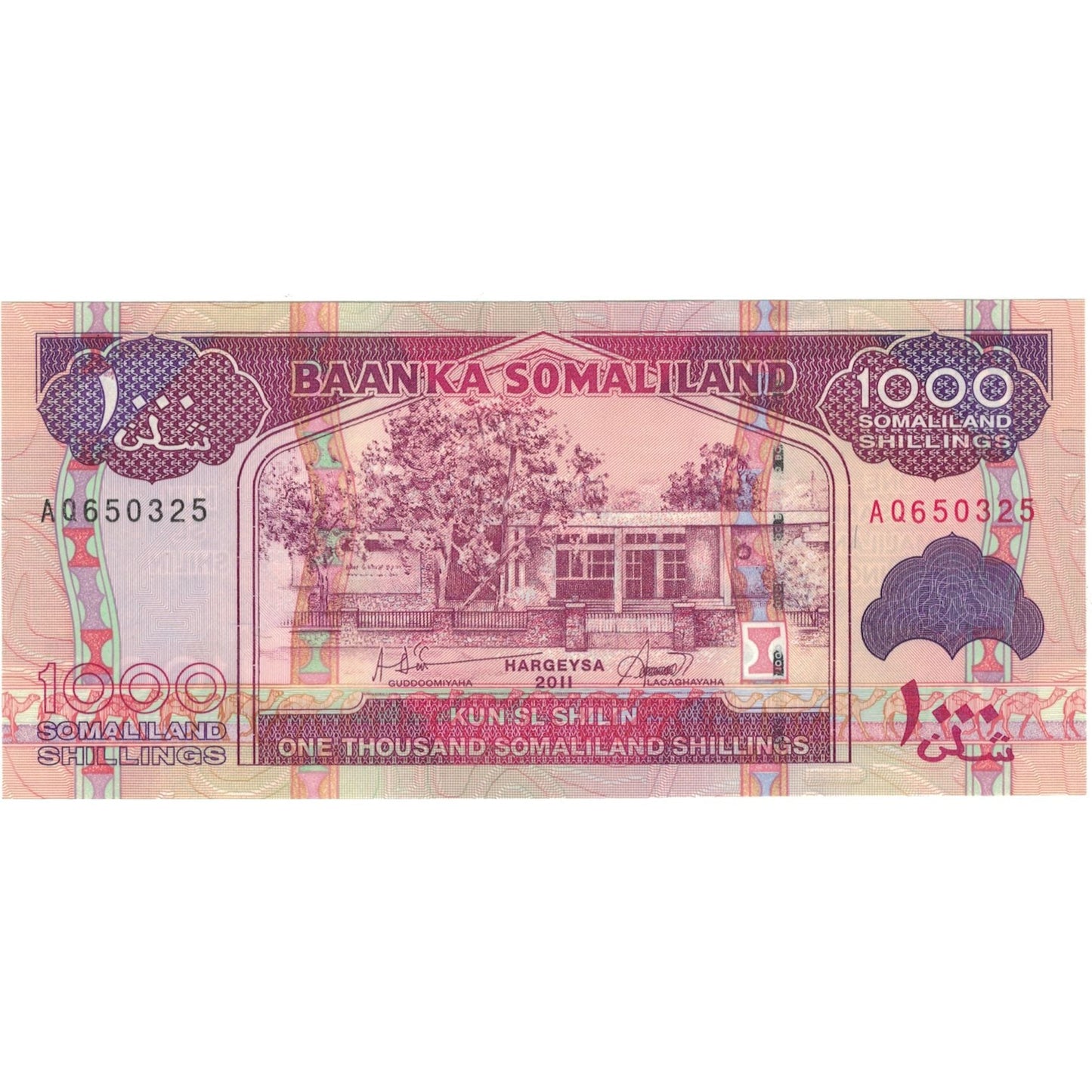 bankovka,
 
 Somaliland,
 
 1000 šilingov