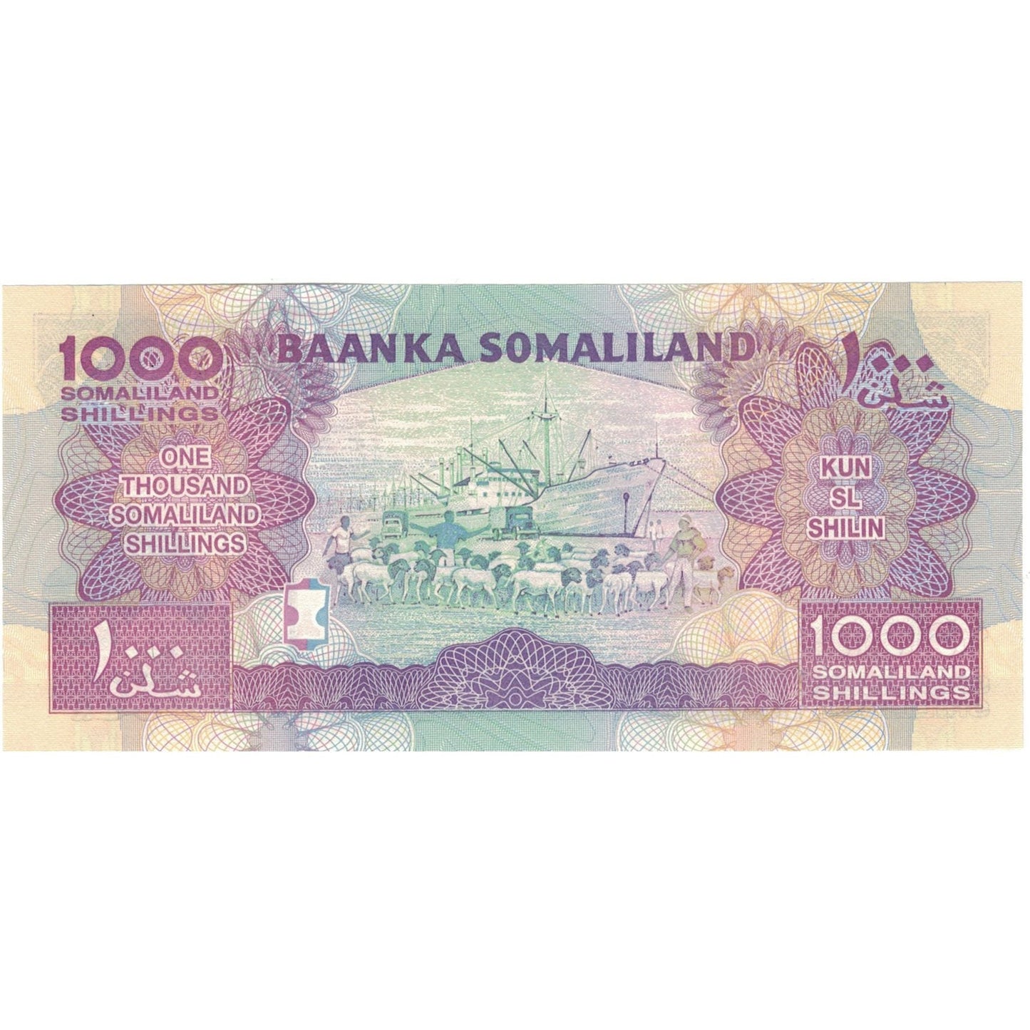 bankovka,
 
 Somaliland,
 
 1000 šilingov
